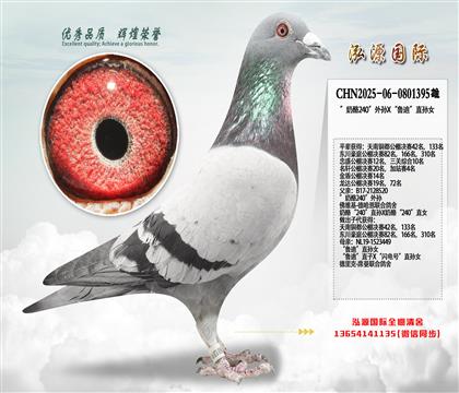 ������240������X��³�ϡ�ֱ��Ů