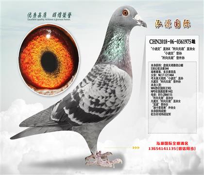 �������344����С�Ͽˡ�ֱ��X�������޵С�ֱ��Ů