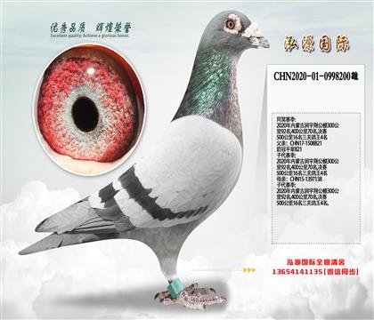 ��������� ����