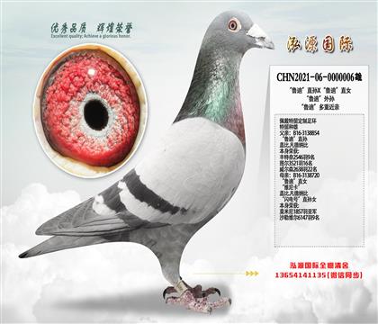 ��³�ϡ�ֱ��X��³�ϡ�ֱŮ  ����0000006