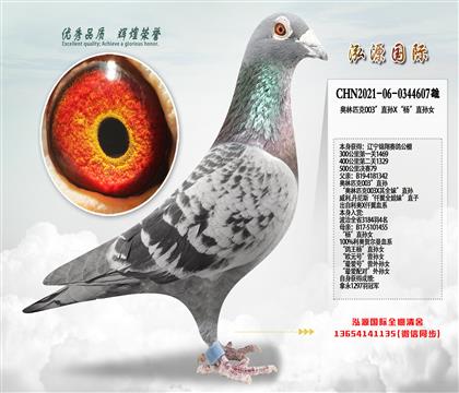 �������79������ƥ��003��ֱ��X���ֱ��Ů