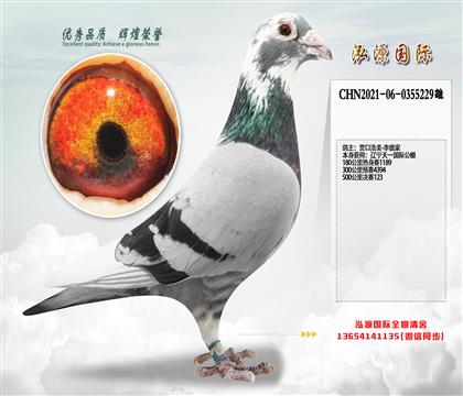 Ӫ�ں���-��¼�  ��һ�������123