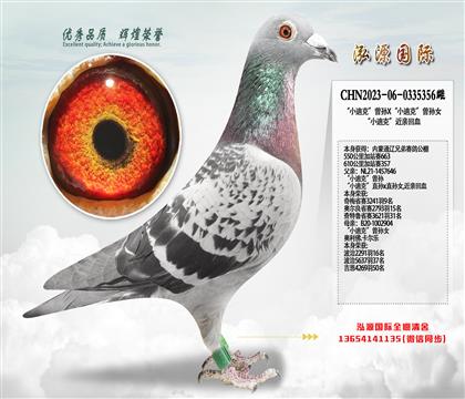 610�����վ357 ��С�Ͽˡ�����X��С�Ͽˡ�����Ů