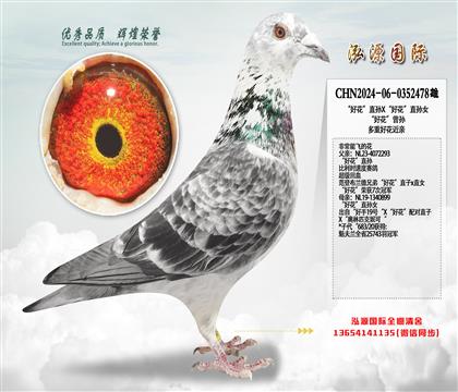 ���û���ֱ��X���û���ֱ��Ů