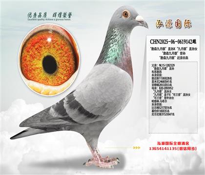 ��ղɭ�����ۡ�ֱ��X�������ۡ�ֱ��Ů