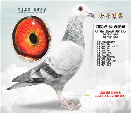 ���𡰲԰ס�ֱ��X������͡�ֱ��Ů