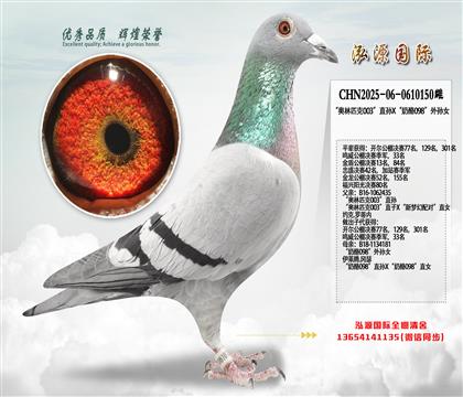 ������ƥ��003��ֱ��X������098������Ů