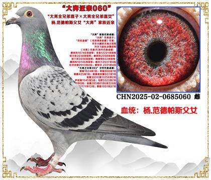 ��.������˹��Ů����ȫ�ֵ�ֱ�ӡ���ȫ�ֵ�ֱŮ��