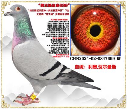 ���¡�������ֱ���������ֱ��Ů�����ؽ��׻�Ѫ