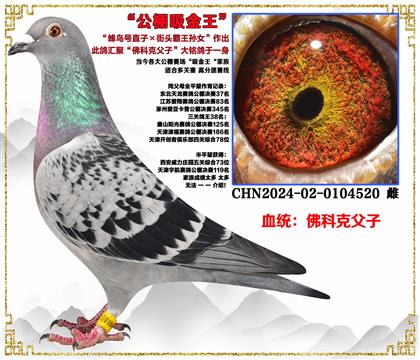 ��ƿˡ������ֱ�ӡ���ͷ����ֱ��Ů������