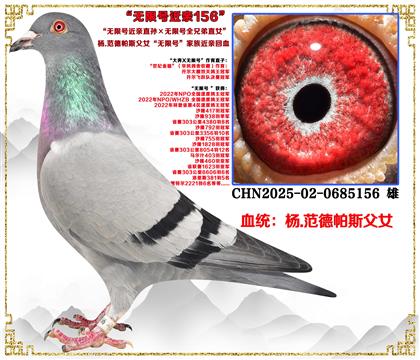 ��.������˹��Ů�����޺Ž���ֱ������޺�ȫ�ֵ�ֱŮ��