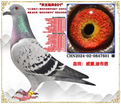 ����.�ϲ�����������ֱ�ӡ�����ƥ��쫷��ֱŮ������