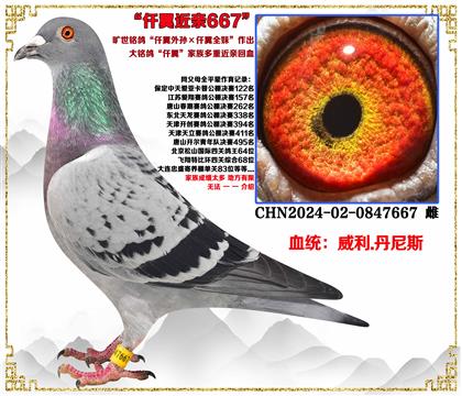 ����.����˹��Ǫ�������Ǫ��ȫ�á�����