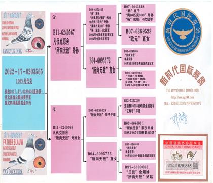 ����Ѫͳ��