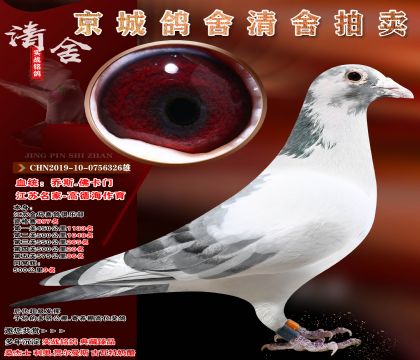 ��������-�ߵº�����.���Ÿ�λ����