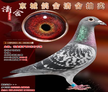 ����������X��������.�������119��