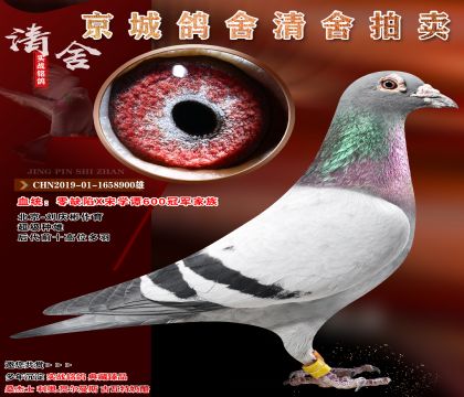 ���������ұ�����-���������