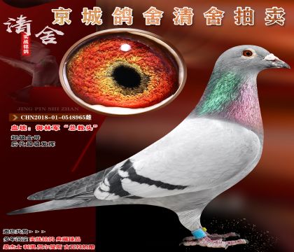 ���־����ܽ�ͷ�� ������ĸ