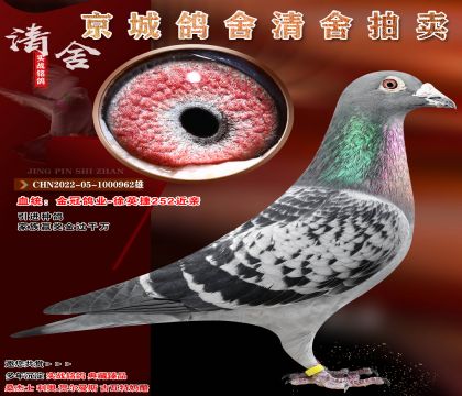 ��ڸ�ҵ-��Ӣ��252����