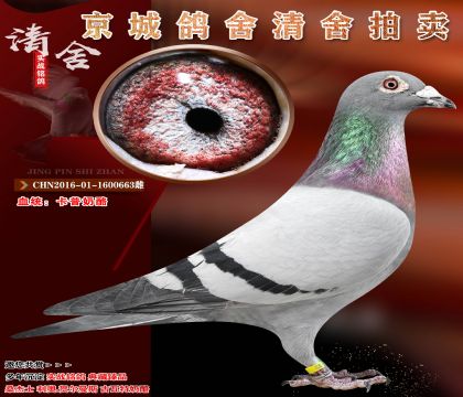 �����Ƽ�!!!������ĸ.��������