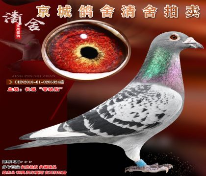 ���ǡ���ȱ��.������