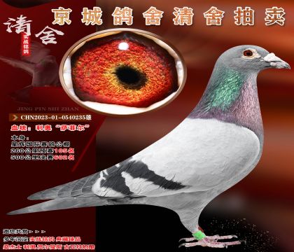 ���¡����ƶ���.����˫�ؿ���