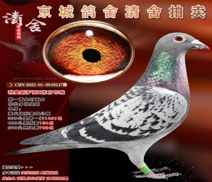 �ص��Ƽ�������������X�������� ��һ�ƽ��ֱŮ