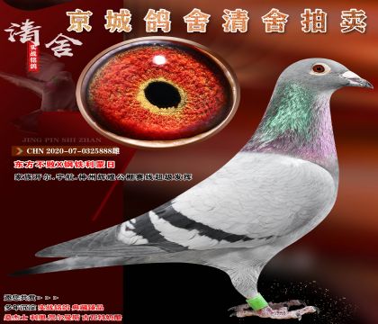 ��������X����������.����888��