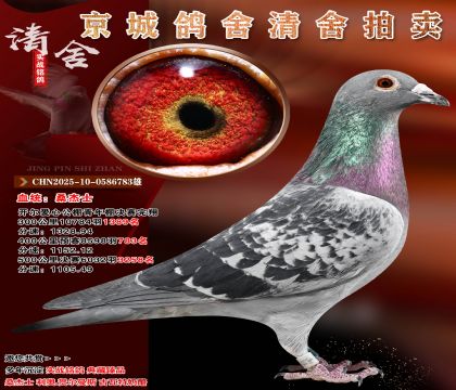 ɣ��ʿ.�������Ĺ���������裡