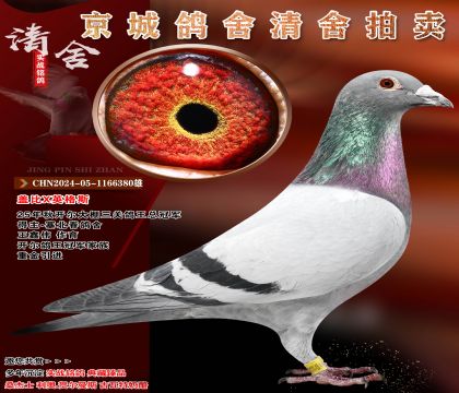 �Ǳ�XӢ��˹.����������-����ΰ.���������ھ�����