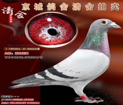 �����޵�.����С�����