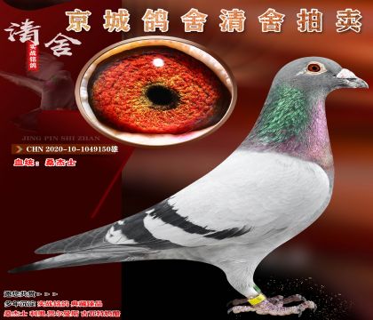 ɣ��ʿ.������