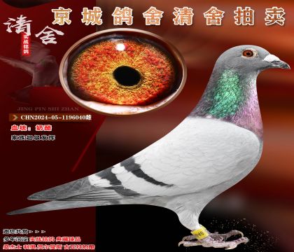 ����.������.���峬�����ӣ�