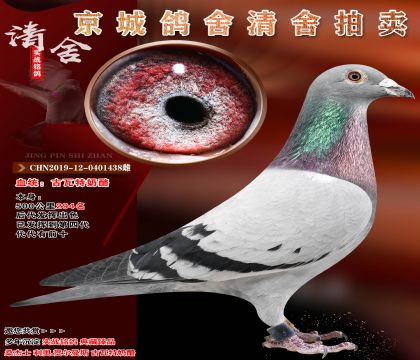 ����������.500����294�� ������ӳ�ɫ