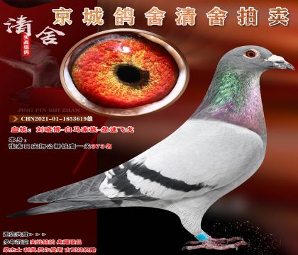 ��������-�����������ٷɸꡱѪϵ