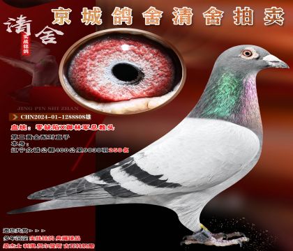 ��ȱ��X���־��ܽ�ͷ.�ڶ��ƽ����ֱ��