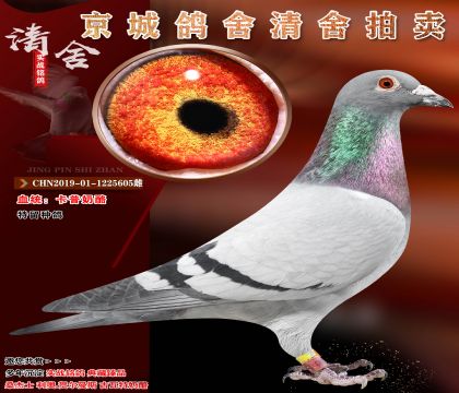 �������� .�����ָ�