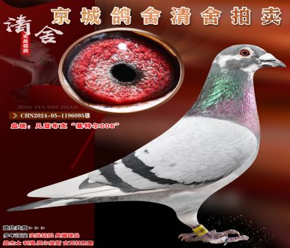 ���ǲ��ˡ����ض�006��