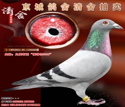 ���ǲ��ˡ����ض�006��