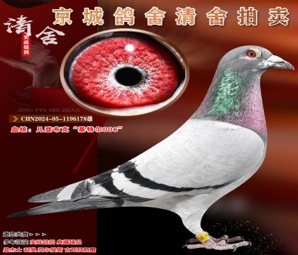 ���ǲ��ˡ����ض�006��