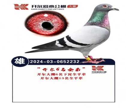 ��������6��ȫ��.