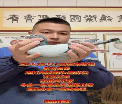 本舍一线天花板血脉!所向无敌回血种雄