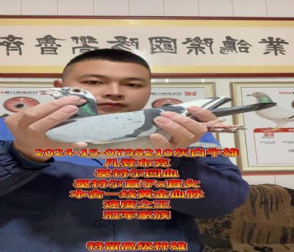 冠军家族!基特尔直子x直女回血高级种雄