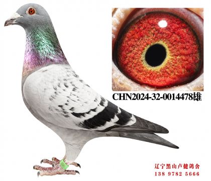 30.奶酪698冠军平辈X总教头58孙女