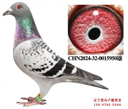 27.奶酪698冠军平辈X总教头58名孙女