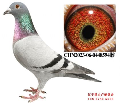 20.总教头源博292名X总教头丰羽28名