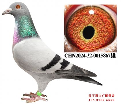 16.总教头719X总教头奔驰小姐直女