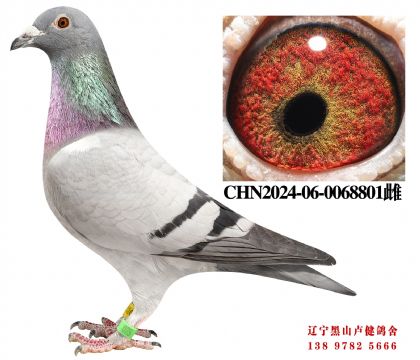 13.忠盛20名X总教头直孙女