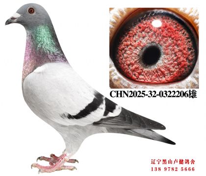 28.总教头十二万号直子X总教头58名孙女