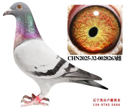 25.奶酪X总教头58名孙女